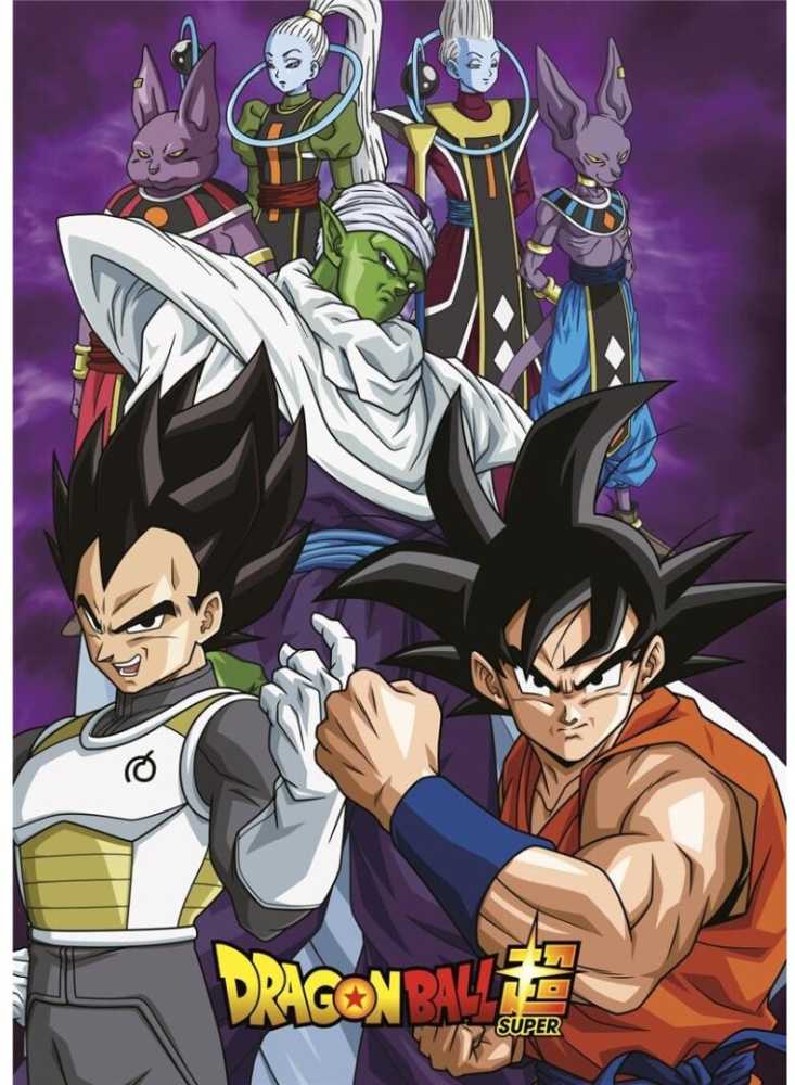 Toei Animation Dragon Ball Super polar blanket