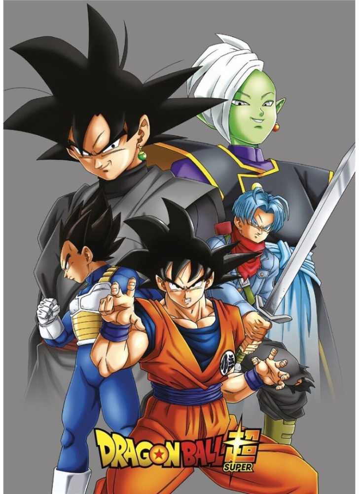 Toei Animation Dragon Ball Super polar blanket
