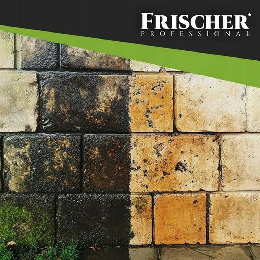 frischer Šviežio fasado valiklis 1 l