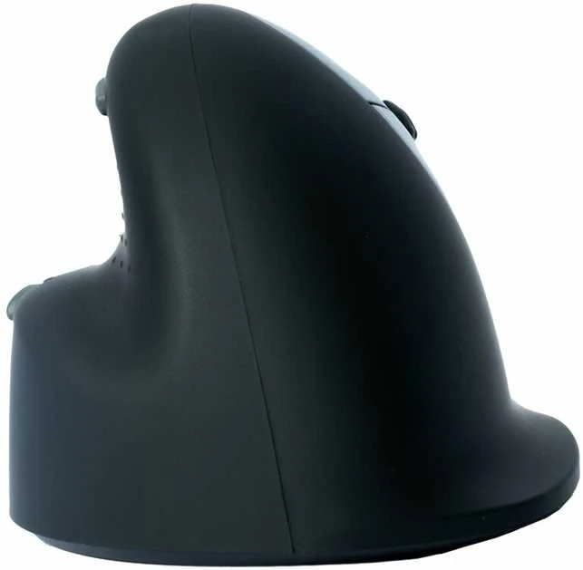 Carruzzo ERGONOMIC Pelė MEDIUM - HAND165-185MM RIGHT-HANDED belaidė