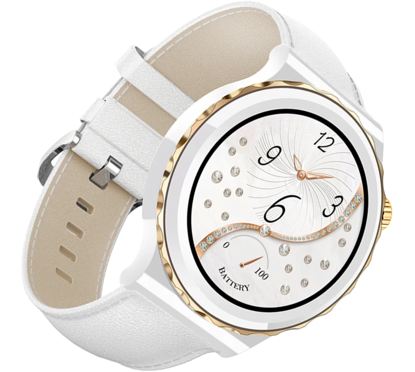 Laikrodis G. ROSSI WATCH - 11041B (zg740e) + BOX