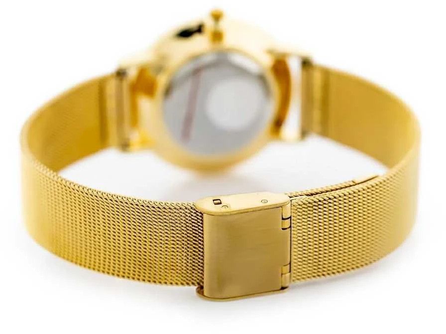 Laikrodis G. ROSSI WATCH - ALORE (zg646a) sidabrinis + BOX