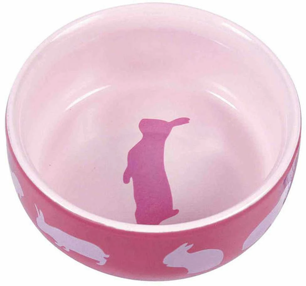 TRIXIE KERAMINIS DUBENIS JŪRŲ KIAULIAI 240ml11cm