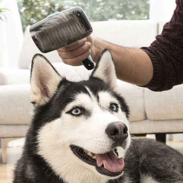 InnovaGoods vielinis naminių gyvūnėlių šepetys su ištraukiamais šereliais Groombot InnovaGoods