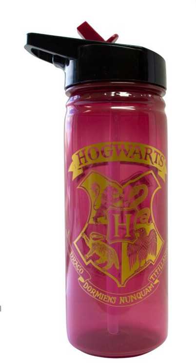 Kids Licensing Vandens butelis 600ml Hario Poterio