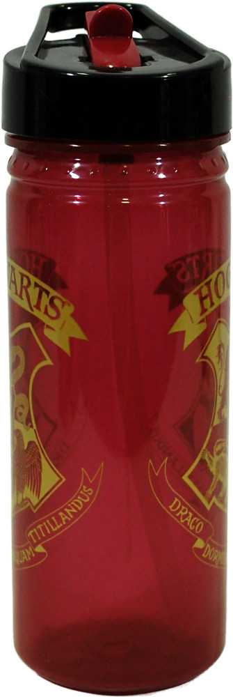 Kids Licensing Vandens butelis 600ml Hario Poterio