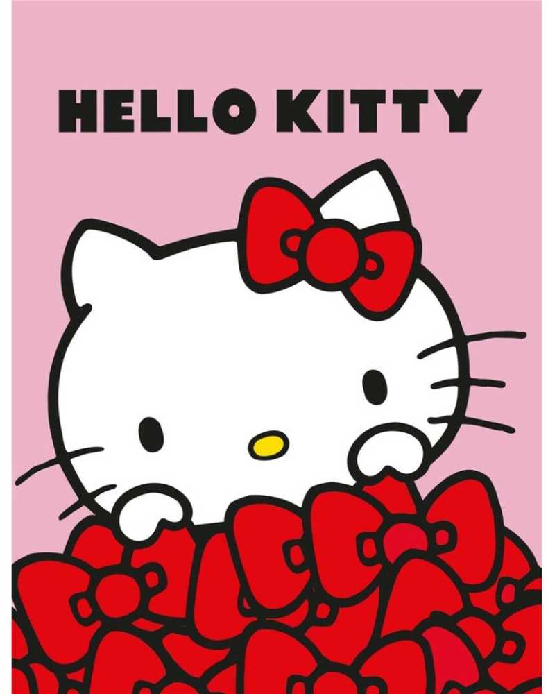 Sanrio Hello Kitty Flannel blanket 130x160cm