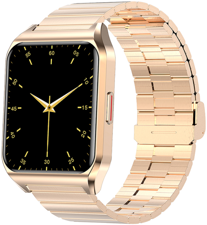 Vyriškas laikrodis HUGO BOSS 1513818 CHAMPION (zh052k)