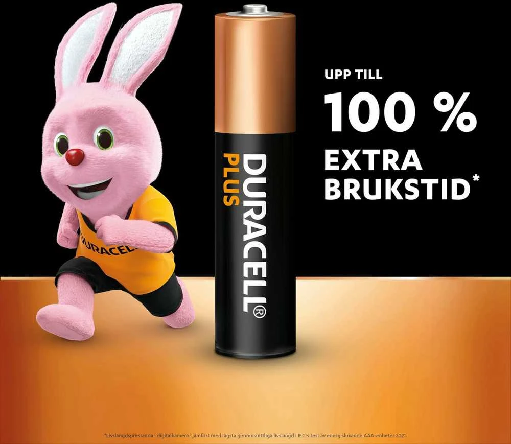 AAA tipo baterija su Duracell zuikio vizualu
