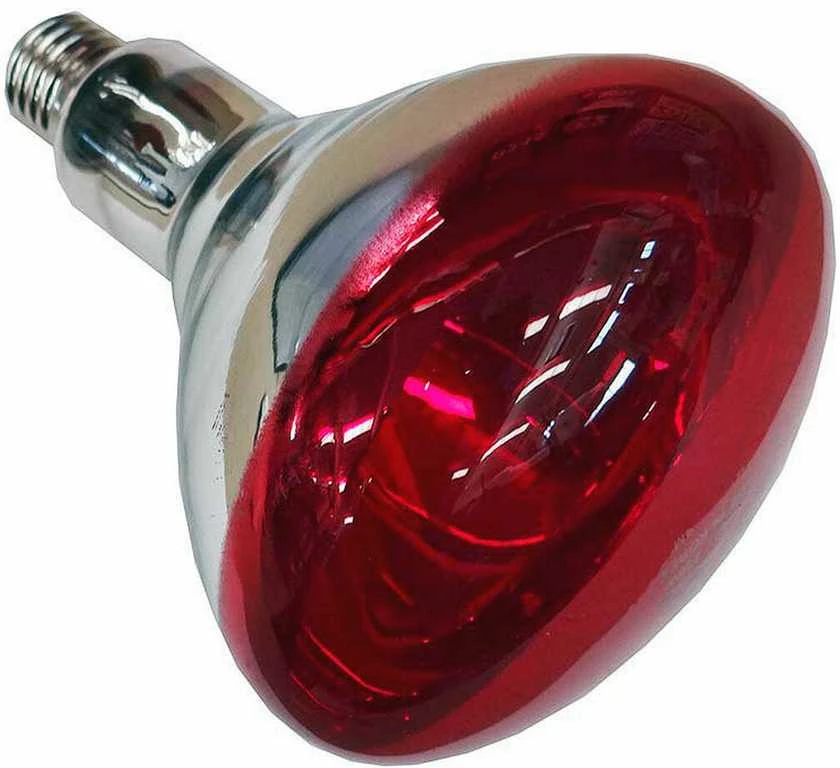 Lemputė Philips 250 W 22314