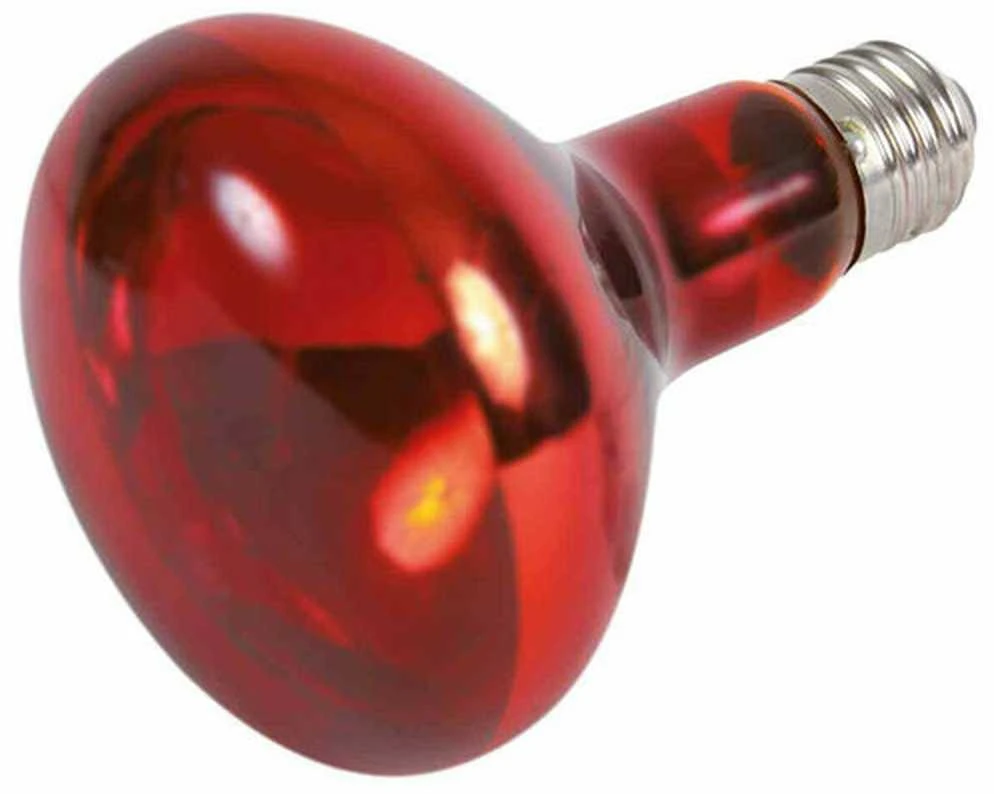Trixie infraraudonųjų spindulių taškinė šildymo lempa raudona 150W