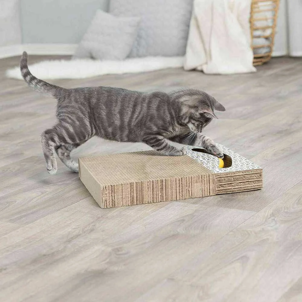 Trixie Toy kartoninis įbrėžimas, 38 × 30 cm, baltas