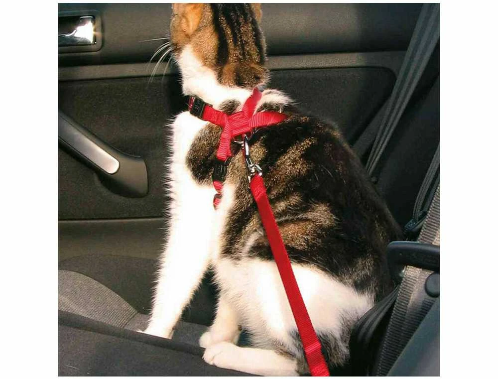 Trixie Automobilinės petnešos katei