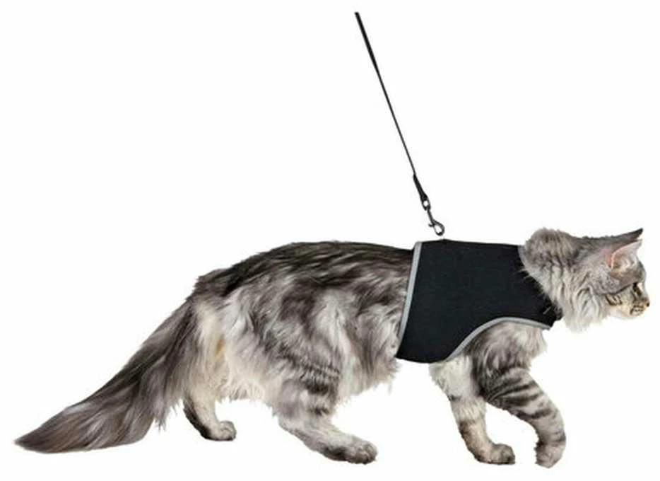 Trixie kačių pakinktai su pavadėliu, XXL, 36–54 cm, 1,20 m, juodi