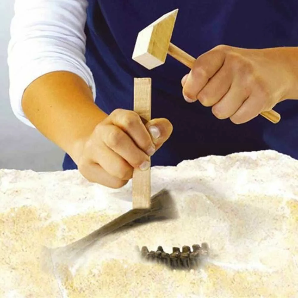 Ses Creative SES dinozauro fosilija 2in1 stegozauras 25094 50942