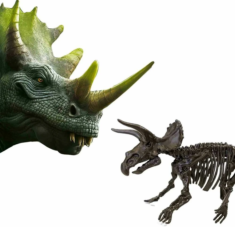 SES Creative – Kasinėjimas – Triceratops ir skeletas – (S25093)