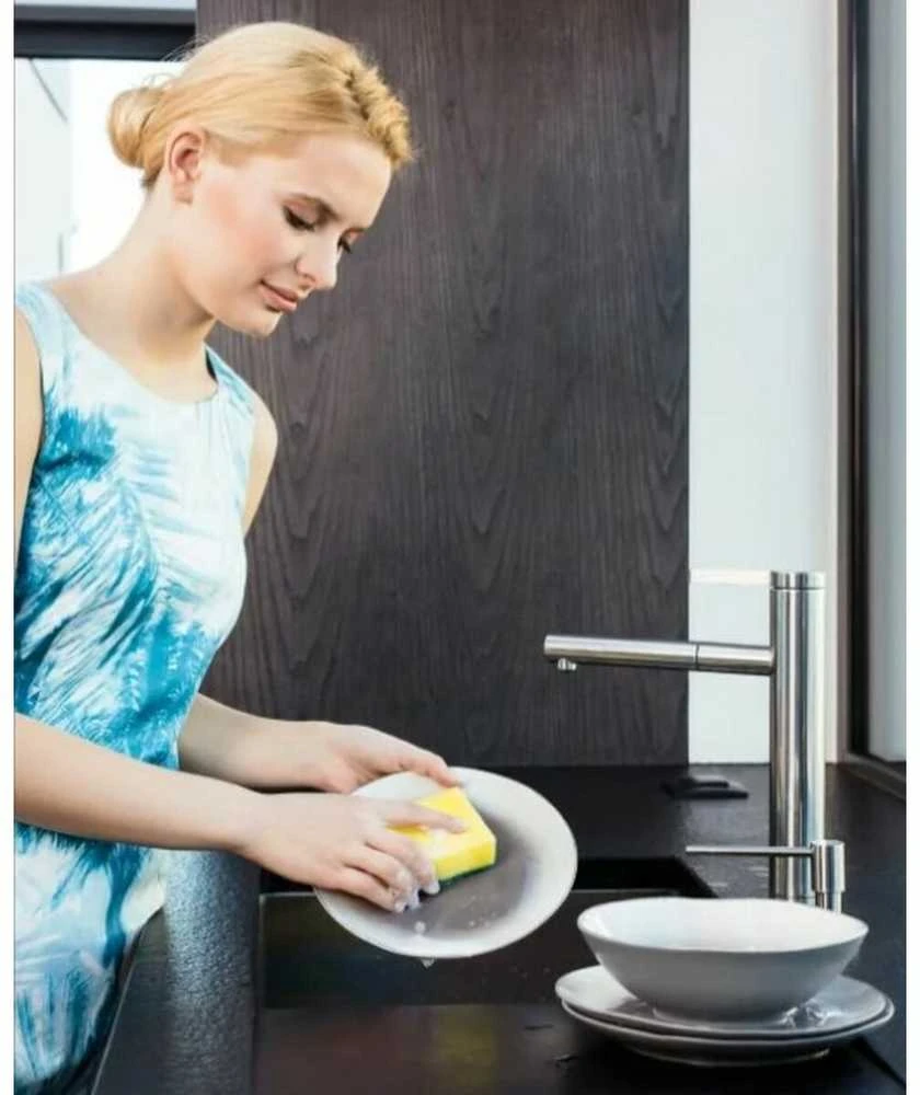 Vileda kempinėlės valymui, 5 vnt
