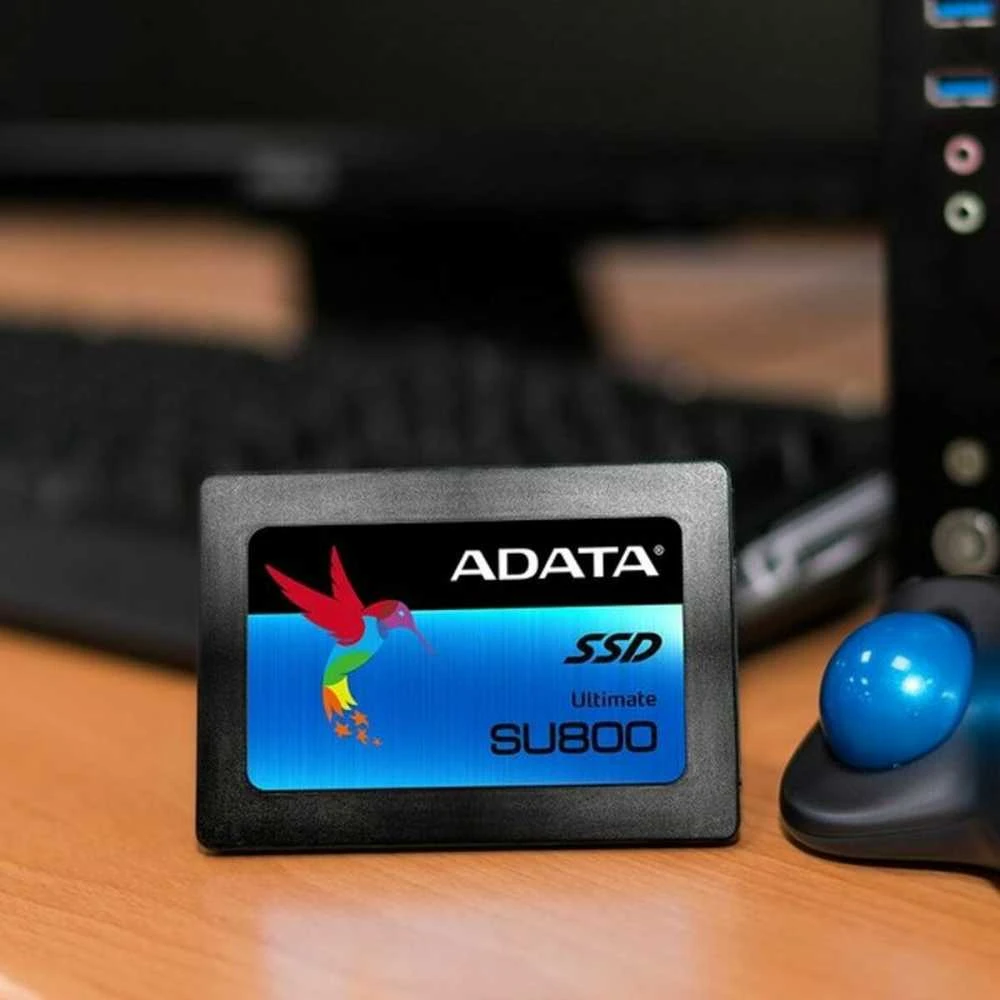Kietasis diskas ADATA SU800 256GB