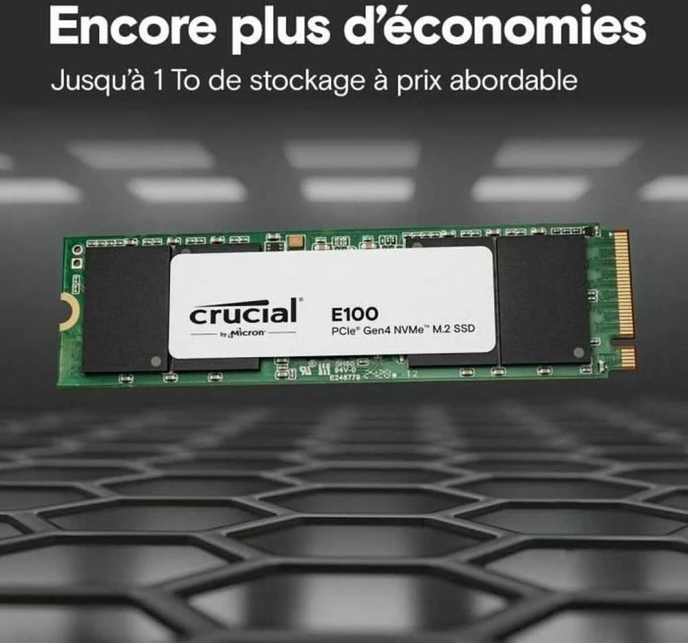 Crucial E100 M.2 PCIe 4.0 NVMe 480GB