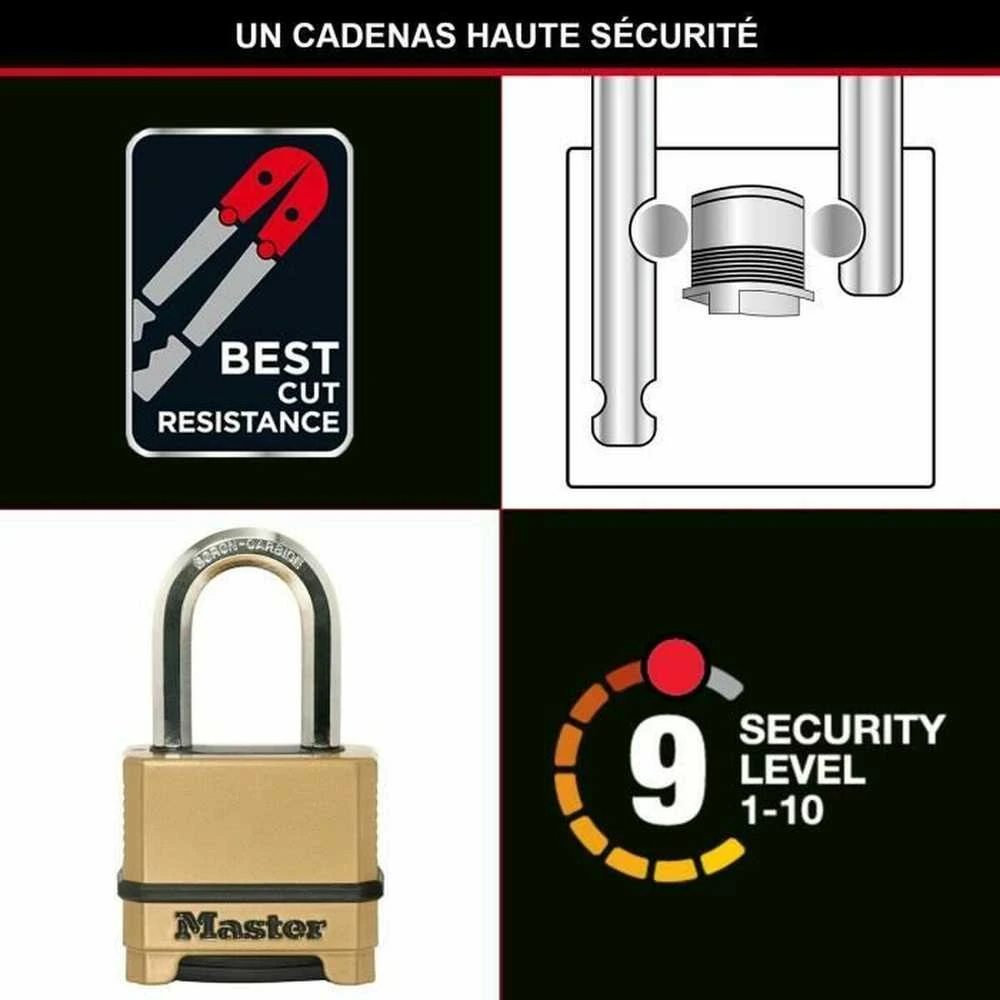 Master Lock Spynelė MasterLock M175EURDLF; 50 mm