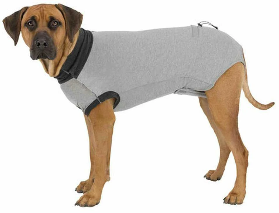 Trixie Apsauginė apranga, pilka.L-XL 62cm