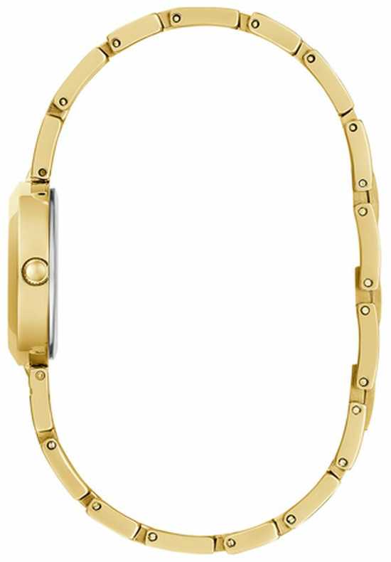 Laikrodis Watches GUESS LADIES GW0549L2