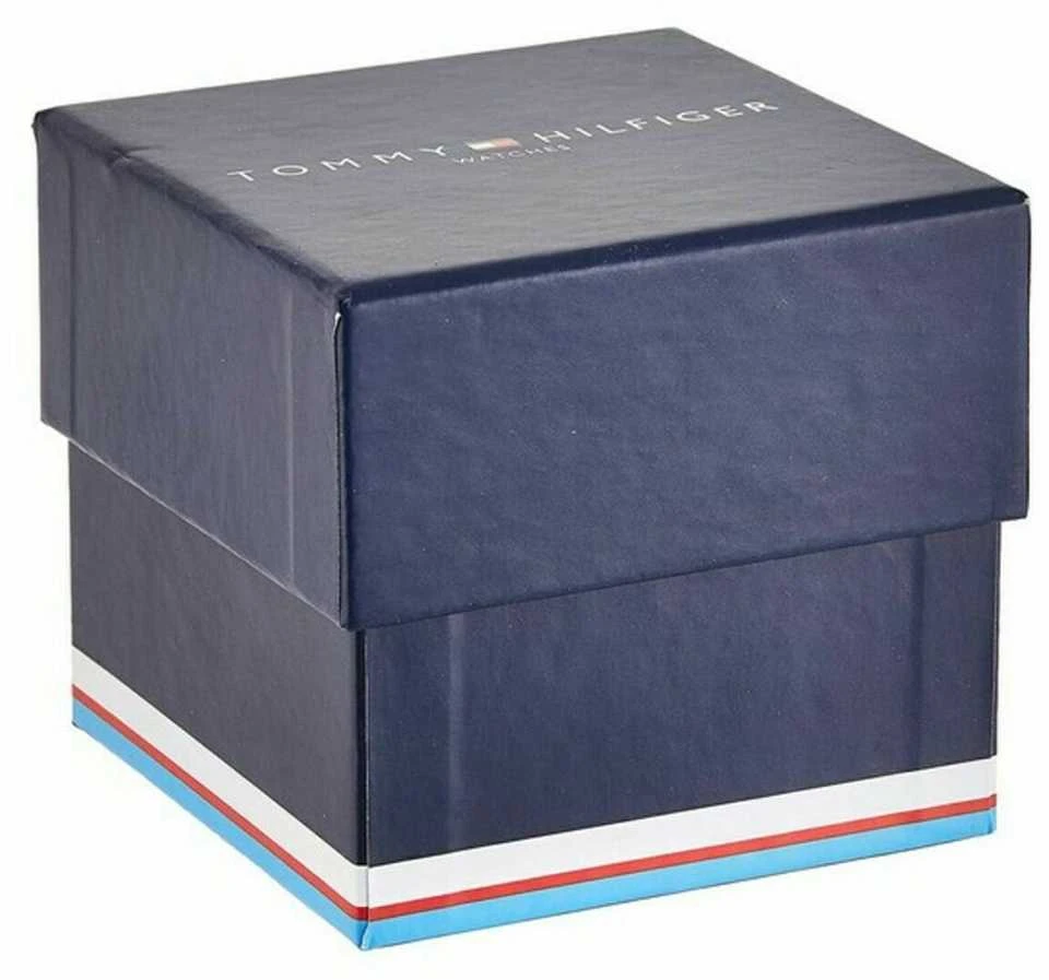 VYRIŠKAS LAIKRODIS TOMMY HILFIGER DAMON (zf008c)