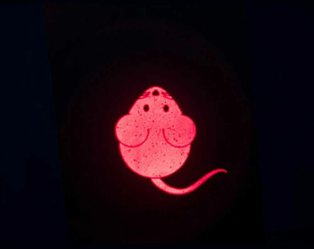 Trixie Wskażnik LED pagauk šviesą, pelė, USB, 8,5 cm