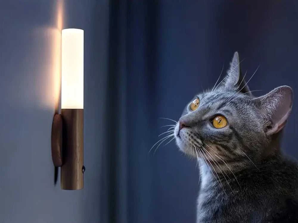 LED sieninis šviestuvas su judesio jutikliu, 18 cm