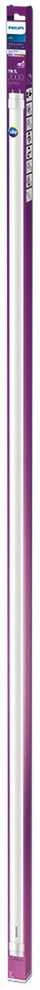 Philips LEMPUTĖ LED T8 20W G13 840 2000LM 1500MM