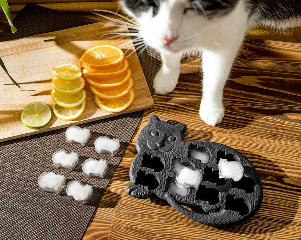 Ledo ir šokolado padėklas KITTY