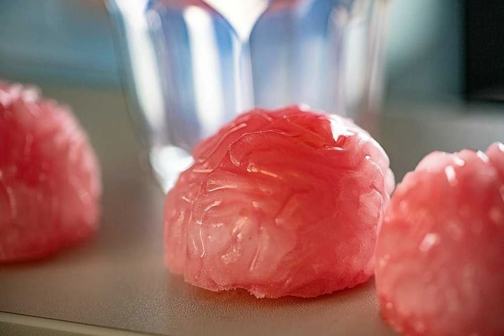 GiftWorld Ledo padėklas - BRAINS