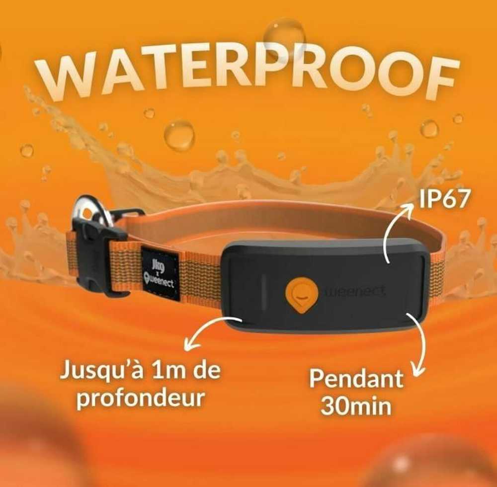 Lokalizatorius nuo praradimo Weenect Oranžinis