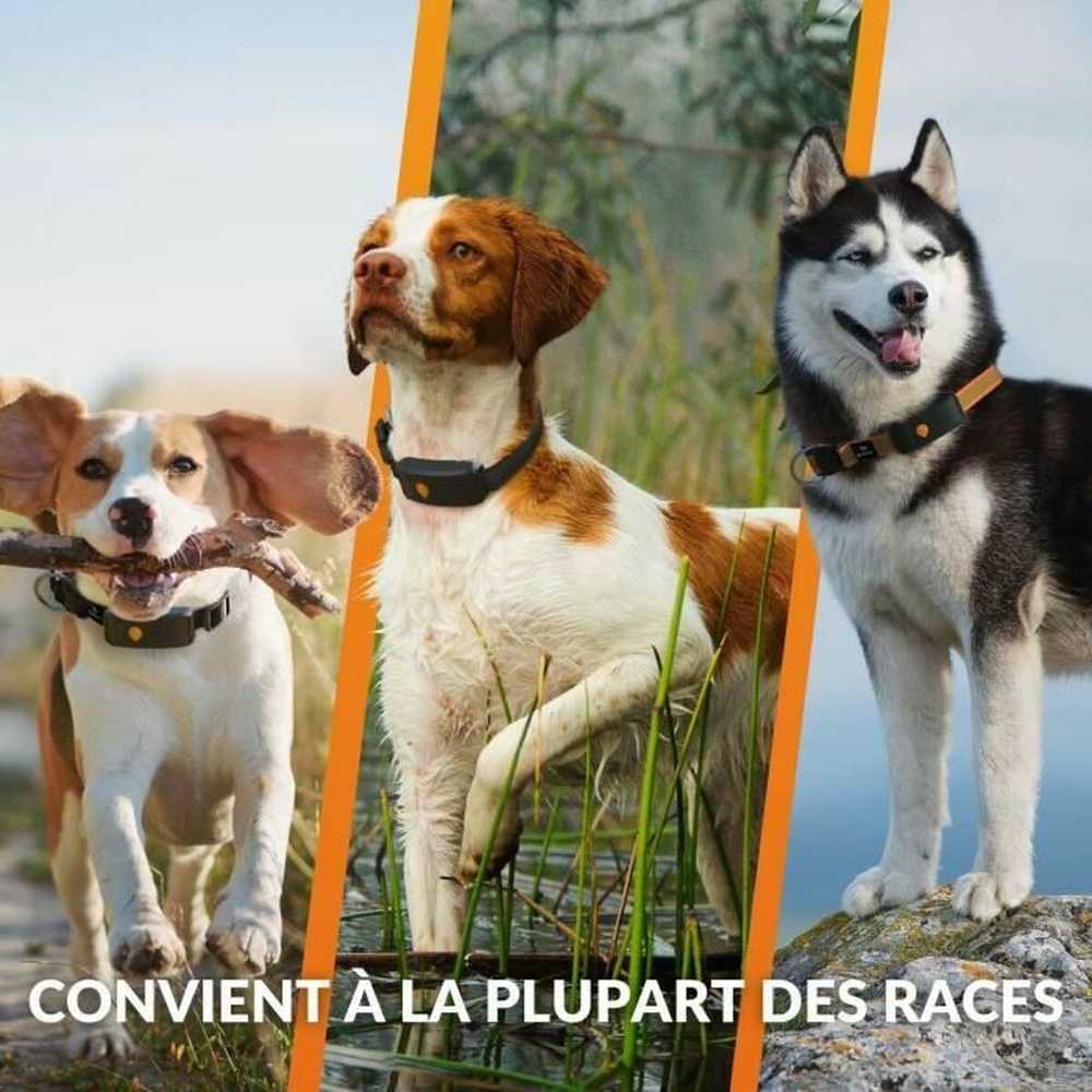 Lokalizatorius nuo praradimo Weenect Oranžinis