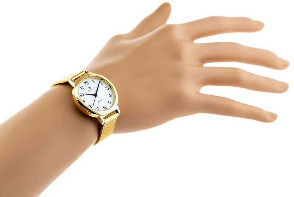 Moteriškas laikrodis MICHAEL KORS MK7317 BRYNN + BOX
