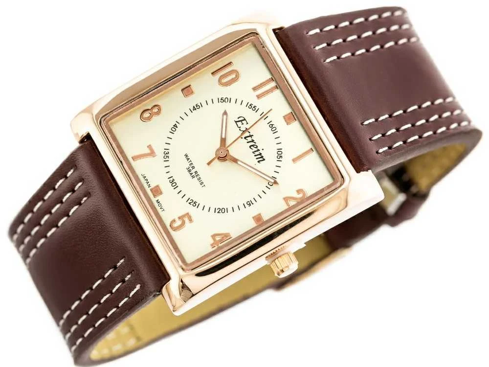 Moteriškas laikrodis MICHAEL KORS Camille MK7270 + BOX