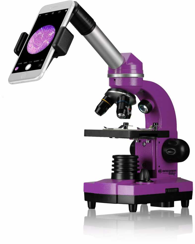 Mikroskopas Bresser Junior Biolux SEL 40–1600x, violetinis