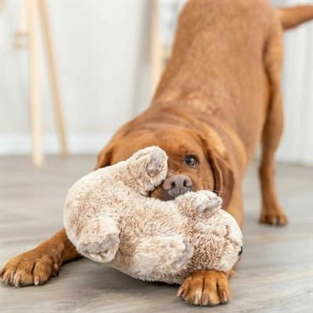 Trixie Žaislas Pluszowa šuniui Trixie Poliesteris pliušinis Koala 25 cm