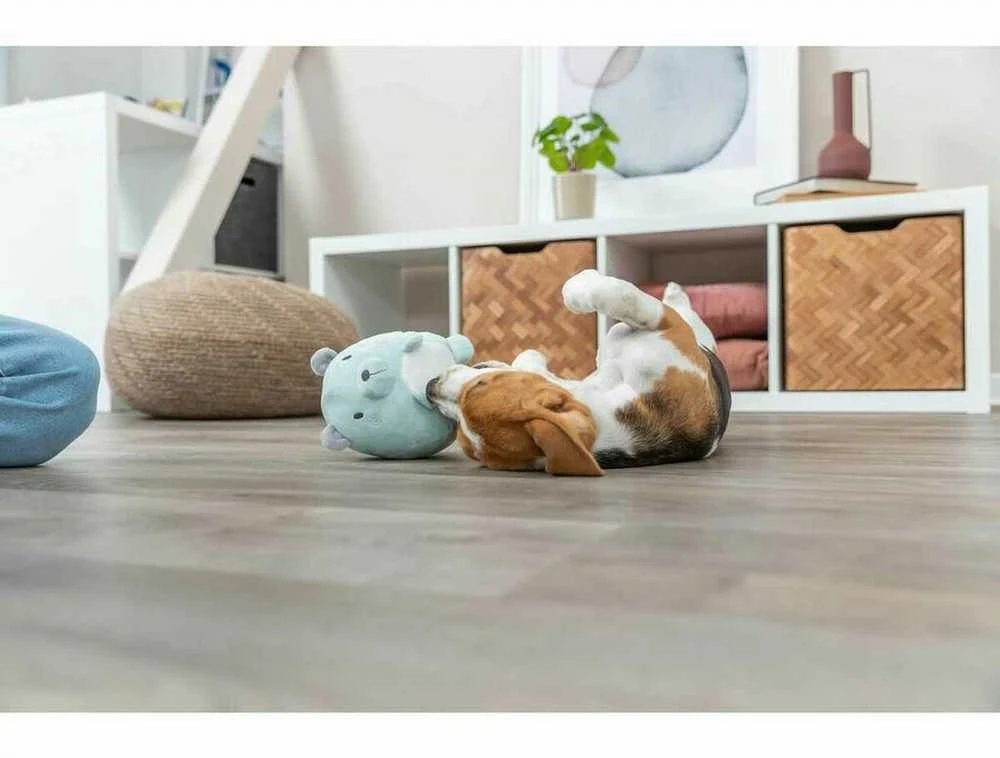 Trixie TX-36164 Žaislas Pliušinis JUNIOR MIŚ 14cm