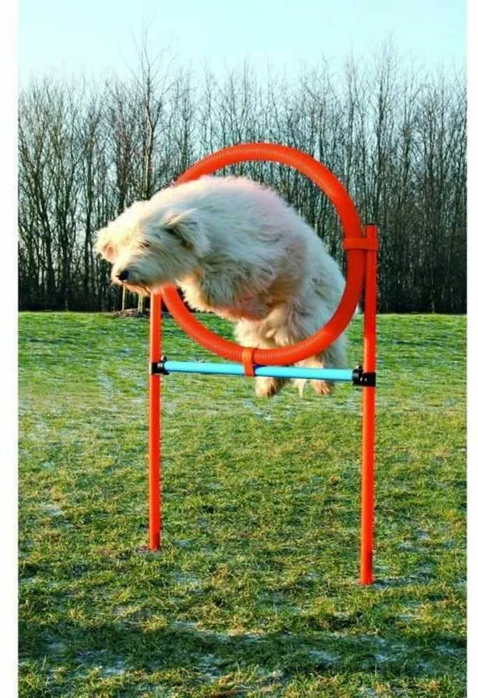 TRIXIE Agility žiedas, 115x3 cm, plastikas, 3208