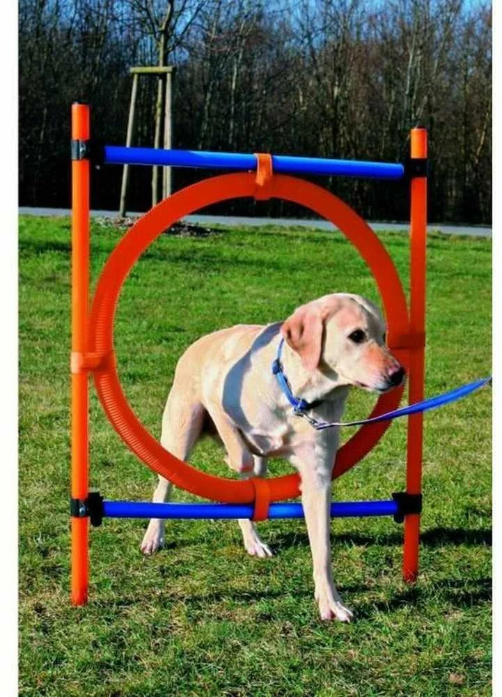 TRIXIE Agility žiedas, 115x3 cm, plastikas, 3208