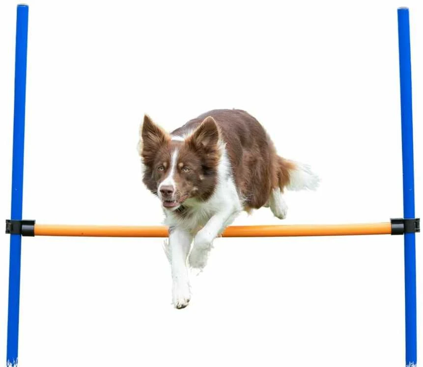 TRIXIE Agility kliūtis, 123x115 cm, plastikas, 3207