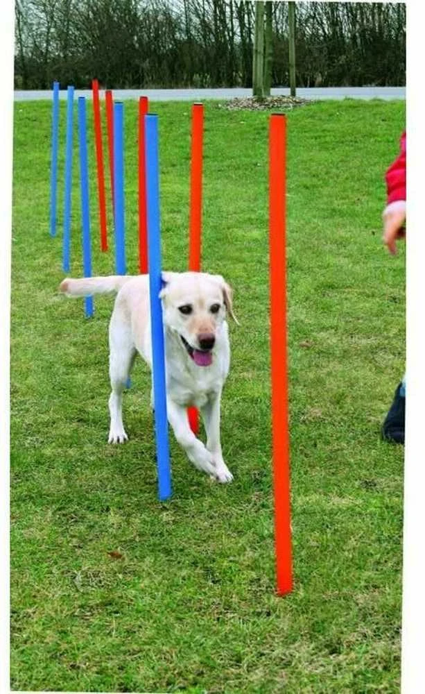 TRIXIE Agility Slalomo treniruoklis, 12 stulpų, 115 cm, plastikas, 3206