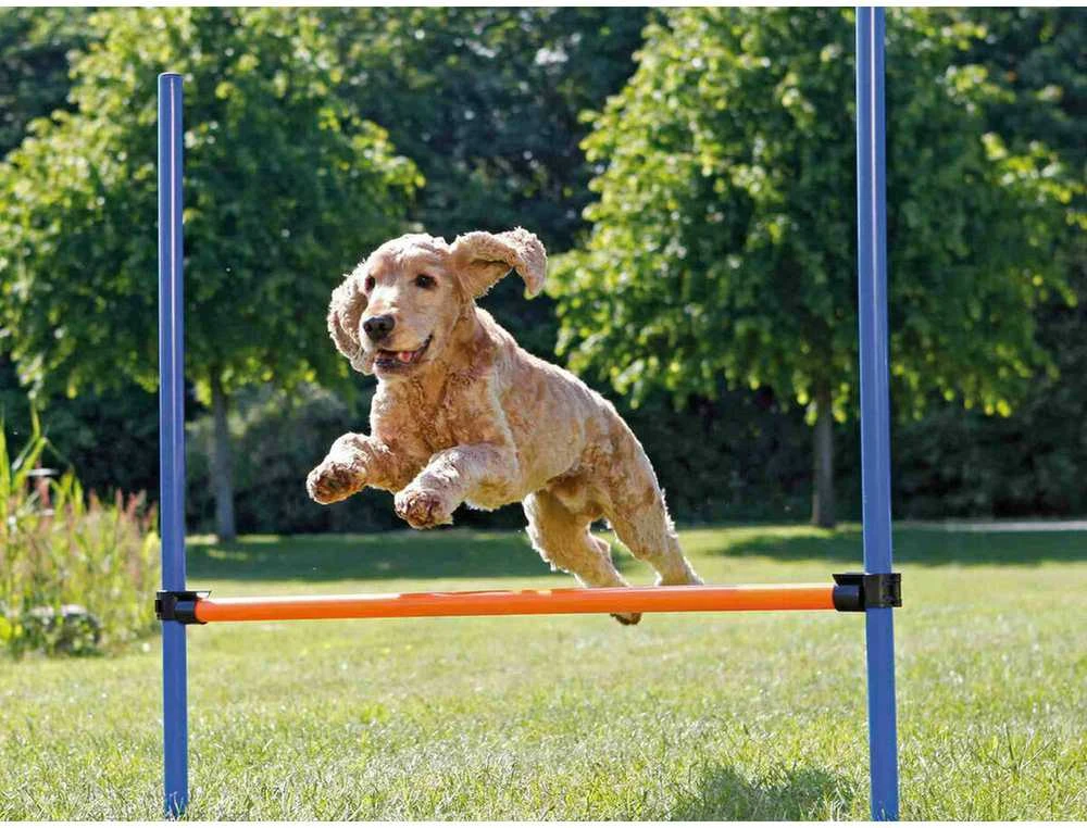 TRIXIE Agility kliūtis, 123x115 cm, plastikas, 3207