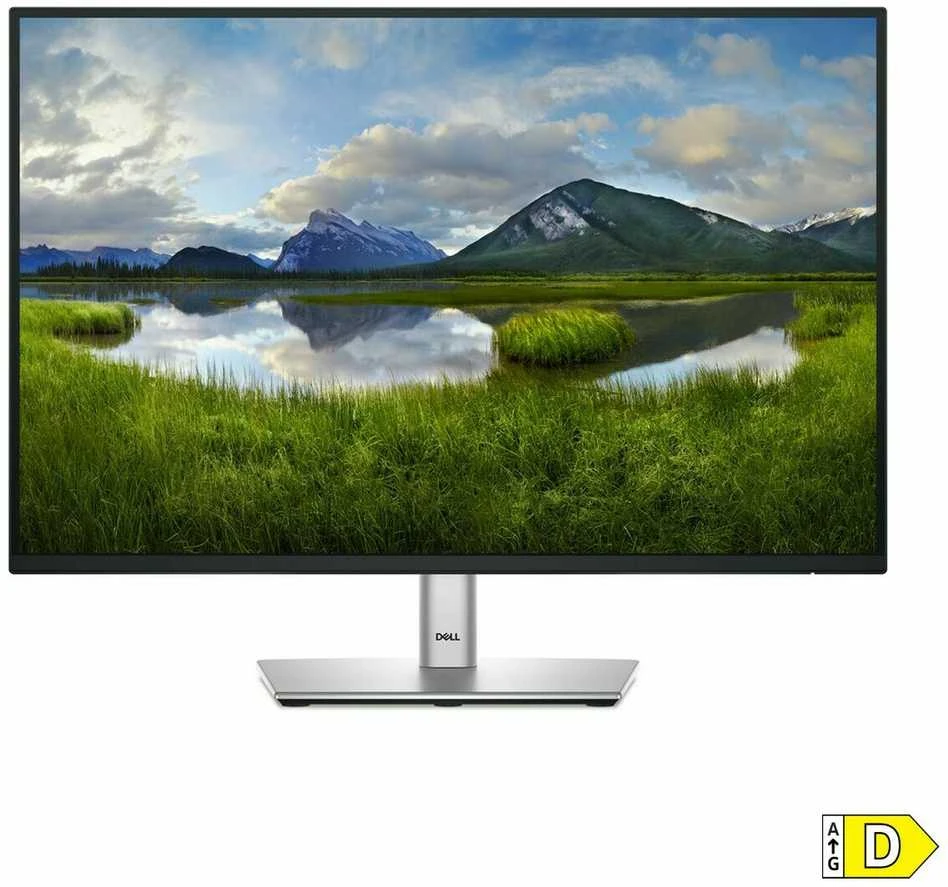 Dell 24 Monitorius - P2425, 61cm (24.0") (Pažeista pakuotė)