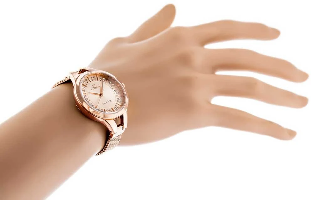 Laikrodis WOMEN'S WATCH G. ROSSI - 11913A (zg699d) + BOX