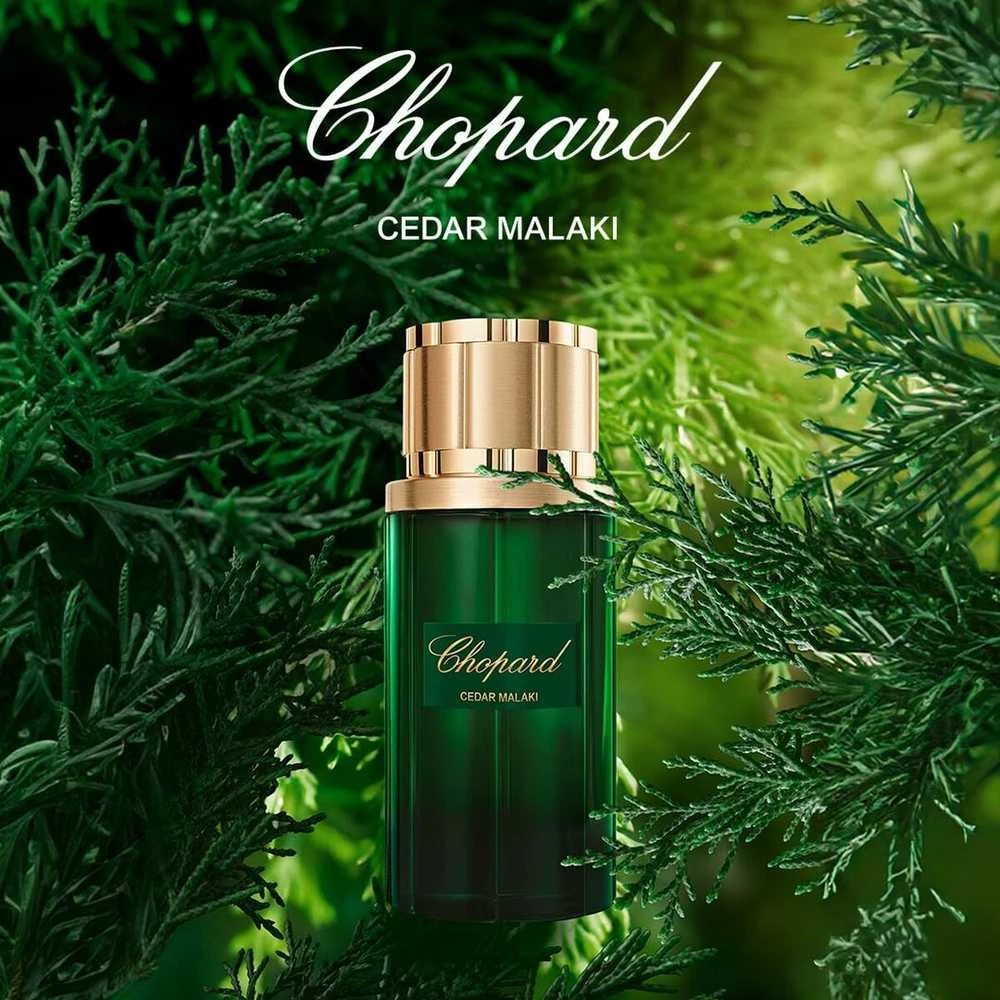 Chopard Malaki Cedar EDP parfumuotas vanduo unisex, 80 ml
