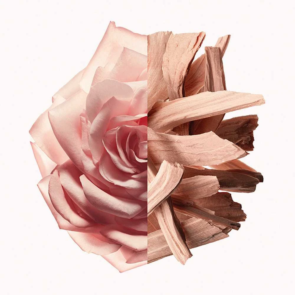 Givenchy Irresistible Nude Velvet EDP parfumuotas vanduo moterims, 80 ml
