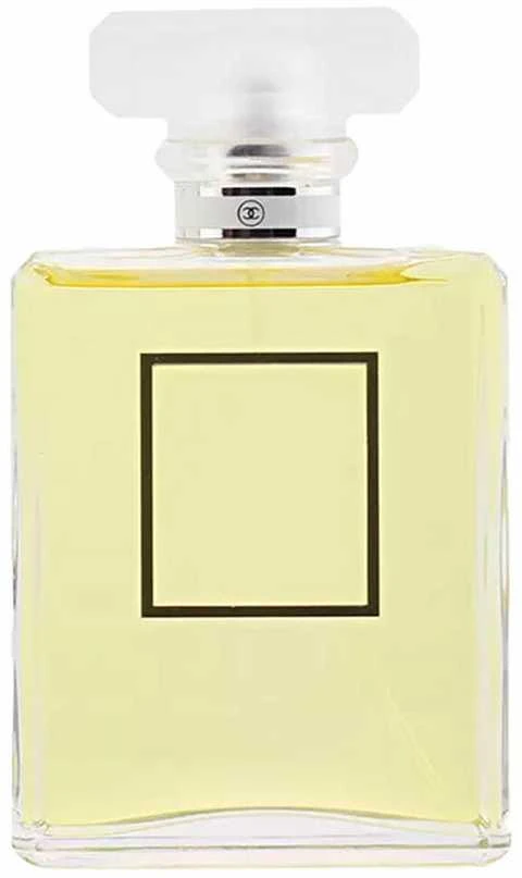 Chanel No 19 Poudre EDP parfumuotas vanduo moterims, 100 ml
