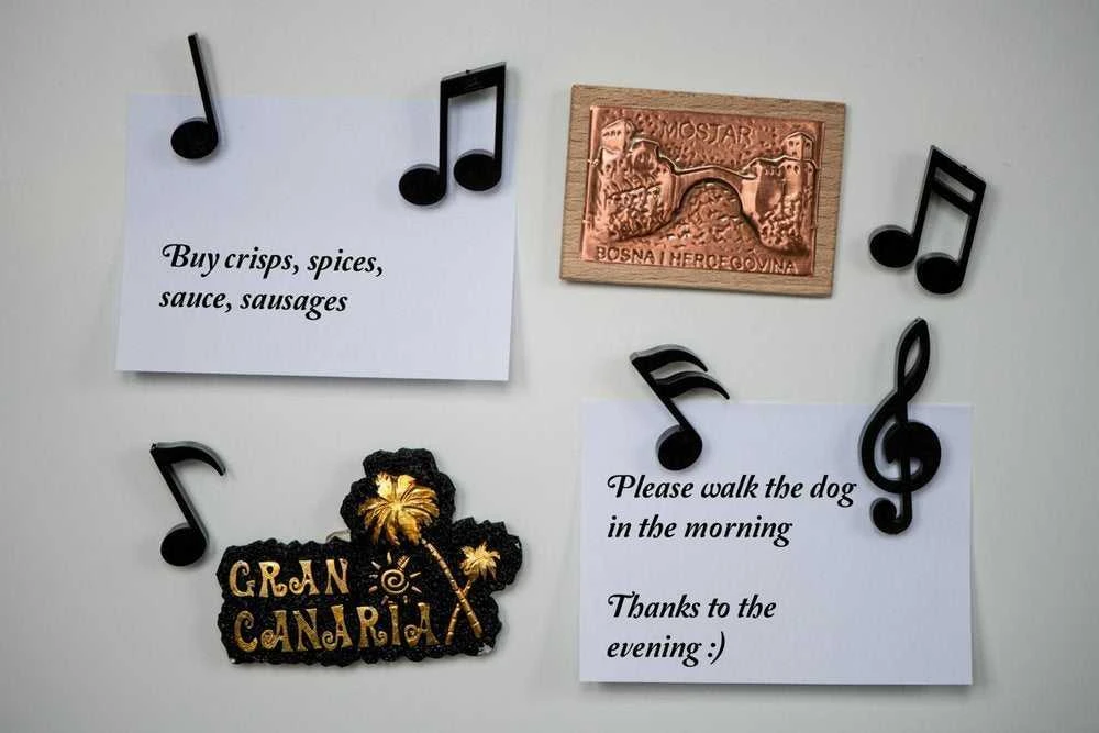 Muzikos magnetai NOTES